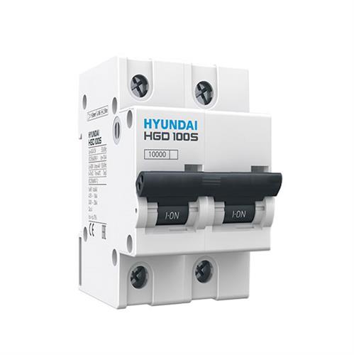 MCCB 2P 80A 10kA ( HGD100S )
